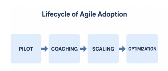 Lifecycle of Agile Adoption showing the cycle