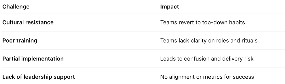 list of challenges in agile adoption